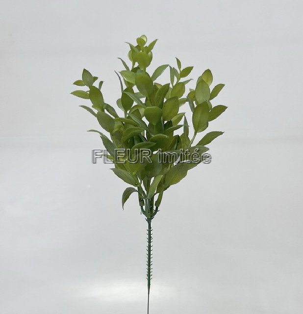 Buxus záp. 38cm 6/864