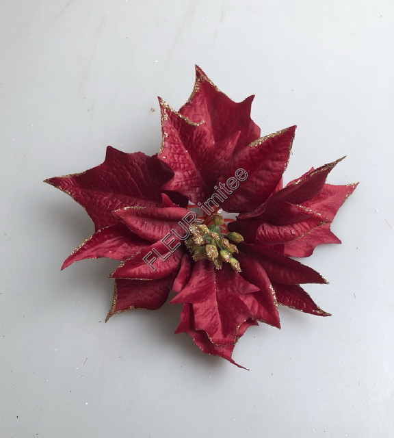 Květ poinsettia 19cm zl.okraj 12/144