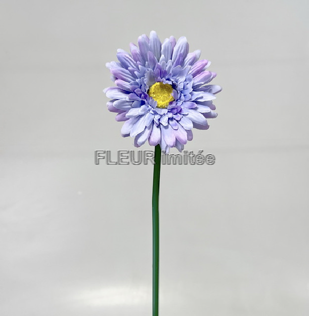 Gerbera x1 45cm  12/144