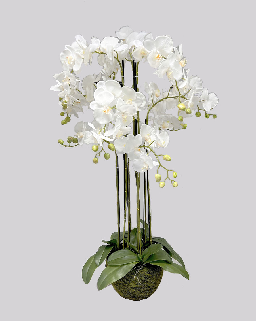 Orchidea v balu x9 125 cm