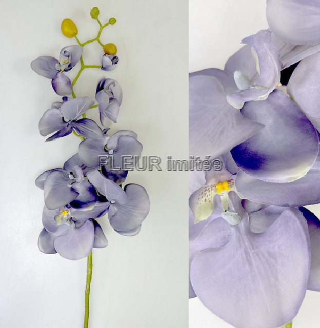 Orchidea  phal.96cm 24/120