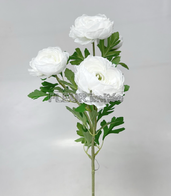 Ranunculus x4 74cm  18/180