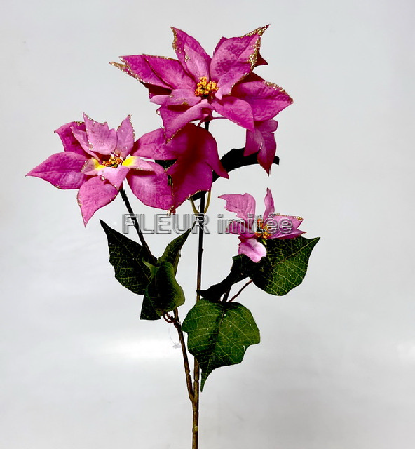 Poinsettia x3 Flitr 63cm 12/96